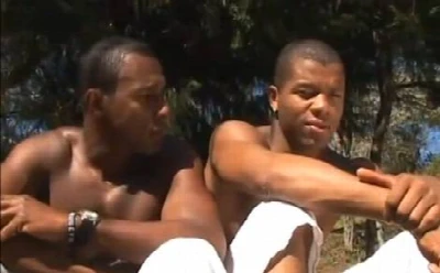 Machos da capoeira fazendo "troca-troca" no meio da floresta
