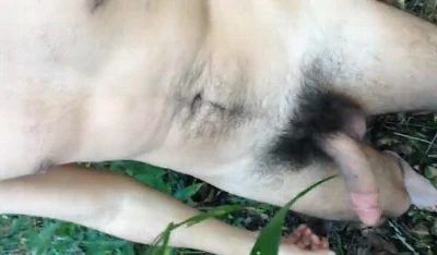 Pauzdo e pentelhudo se masturba no mato