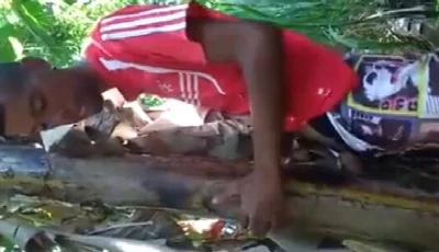 Cara na seca é flagrado metendo em bananeira