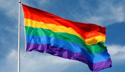 Assina a consulta pública que torna LGBTfobia um crime