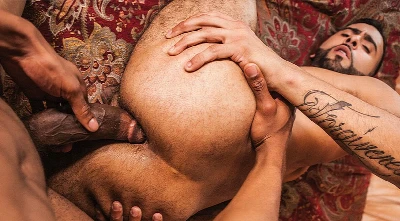 Sentindo o gosto (e a força) da anaconda do Rikk York