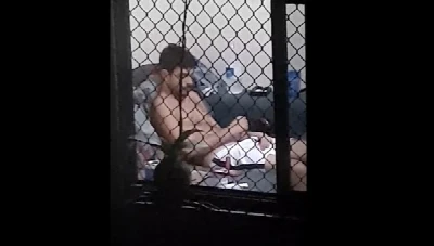 O que fazer quando o vizinho gato bate punheta e esquece a janela aberta?